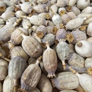 Buy Kilo dried poppy heads Online