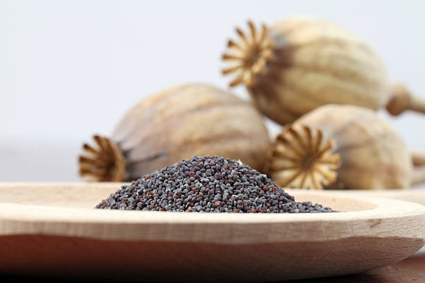 Buy Dried Poppy pods Online